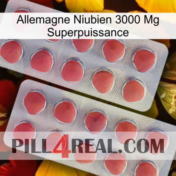 Germany Niubian 3000 Mg Superpower 19